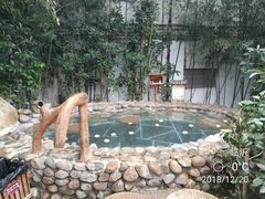 -观唐（国际）度假村温泉