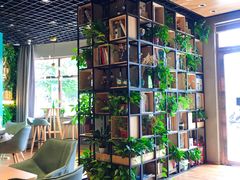 -ZING COFFEE 镜咖啡