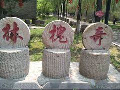 -大槐树寻根祭祖园