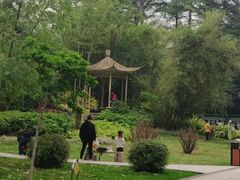 -晓港公园