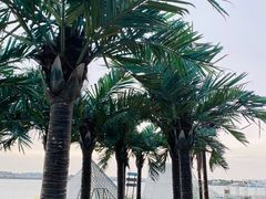 -千龙湖生态旅游度假区