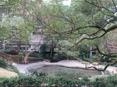 android_upload_pic-香港大学