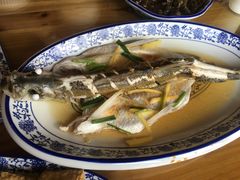 清蒸白水鱼-洞天食府(北大街店)