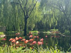 -石家庄市动物园