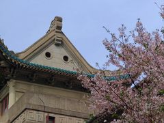 -武汉大学-樱园