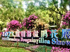 -莲花山公园