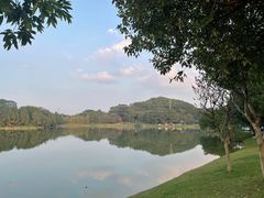-东莞植物园