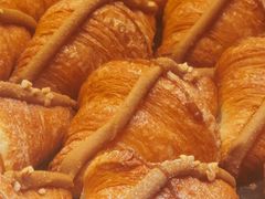 -月枫堂(长春这有山店)