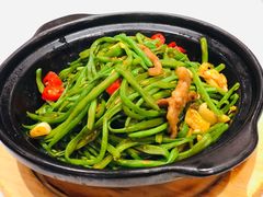 砂煲扁豆丝-天和晟烤鸭店(玉泉西街店)