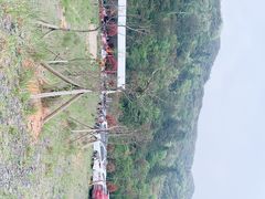 -大围山国家森林公园