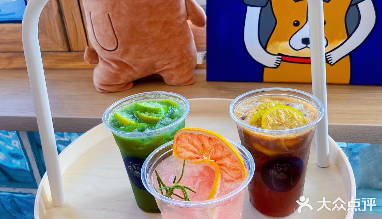 🐾 Paw coffee 柯基在线营业
