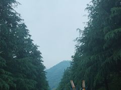 -西安金龙峡风景区