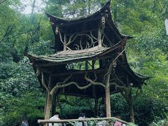 -青城山