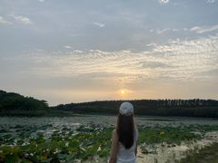 -丁香湖公园