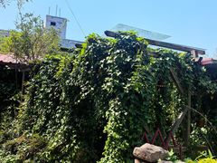 -小仙居·农家宴烤羊· 农庄