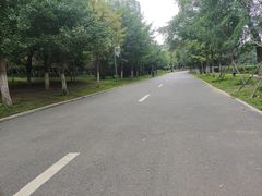 -长白岛森林公园