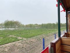 -西青郊野公园