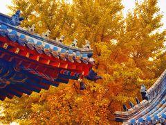 -长安寺
