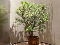 -二酉书店TOYOU BOOKS