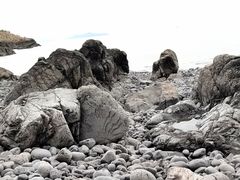 -花岙岛