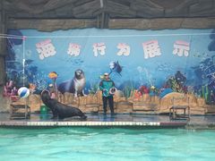 -合肥野生动物园