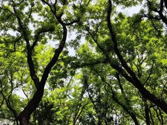 -玲珑塔公园
