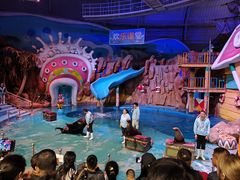 -烟台海昌鲸鲨海洋公园