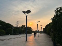 -九里河湿地公园