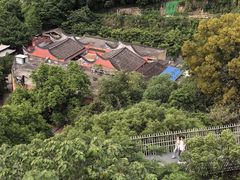 -福道