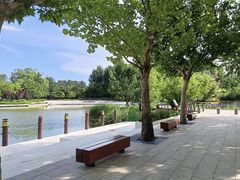 -大望京公园