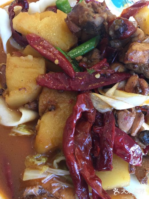 巴依老爷新疆美食(魏公村店)新疆沙湾大盘鸡图片