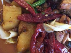 新疆沙湾大盘鸡-巴依老爷新疆美食(魏公村店)