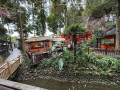 -二荆条·蜀鲜汇城市森林火锅