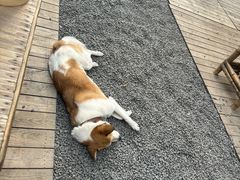 -伴山茶苑·围炉煮茶