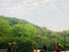 -汤山公园