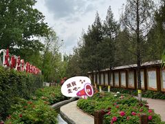 -太阳宫公园
