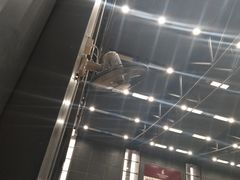 -深圳大运中心世界冠军羽毛球馆