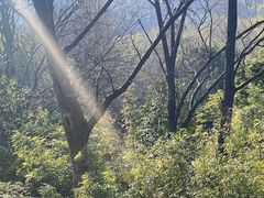 -天目湖御水温泉·度假酒店