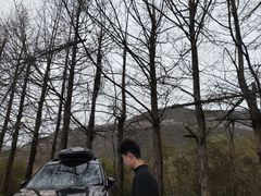 -东白山