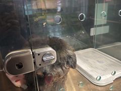 -FAELING PETS美天灵宠物(富力广场店)