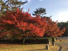 -京都御所