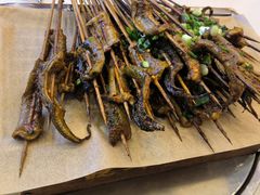 鳝鱼-晓靖轩烧烤(沙河风情店)