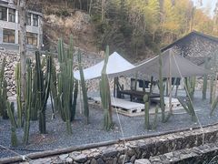 -MOJ coffee(瓯海泽雅水碓坑店)