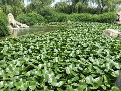 android_upload_pic-黄河小浪底水利枢纽风景区