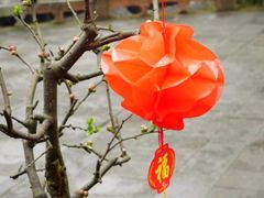 -峨眉山报国寺