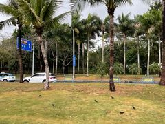 -深圳湾公园(南山区)