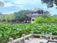 -江心屿景区