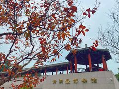 -中国唐苑