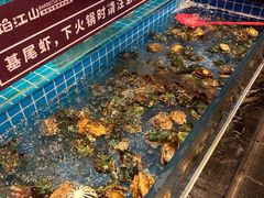 -焰江山海鲜牛排烤肉自助(锦华万达二星店)