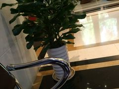 -中国工商银行(南京西路支行)